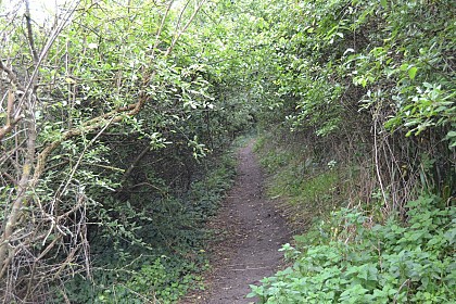 Le Sentier des Douaniers