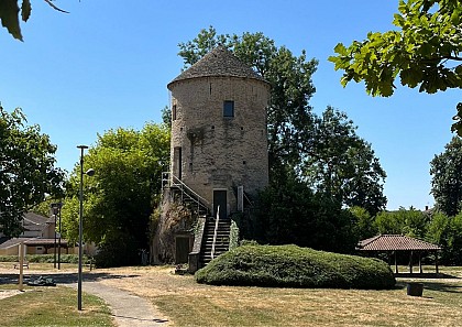 Sur les pas de Charles Dorel