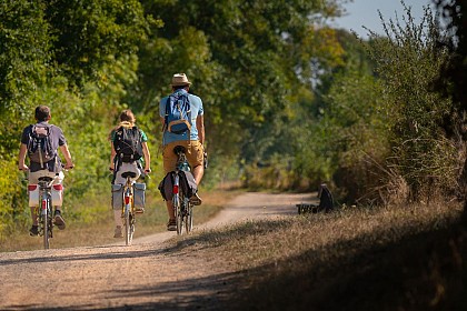 Voie verte La Suze-sur-Sarthe - La Flèche