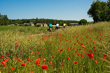 La Vélobuissonnière : La Suze-sur-Sarthe < > La Flèche
