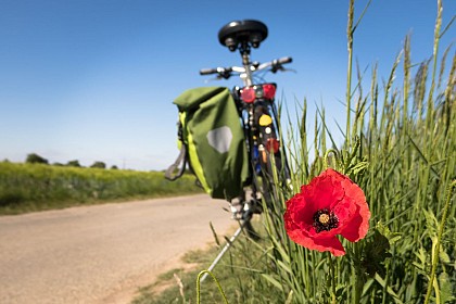 Voie Verte de la vallée de la Blaise