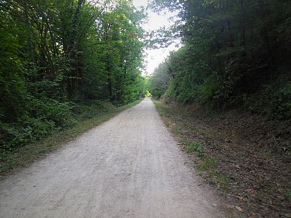RANDONNÉE AUTOUR LAMALOU- LE POUJOL SUR ORB