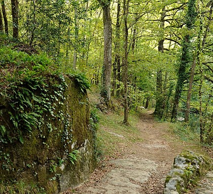 Sentier Botanique de Pampelonne