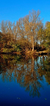 RANDONNÉE THÉZAN-LES-BÉZIERS "LES ÉTANGS DE LA MALHAUTE"