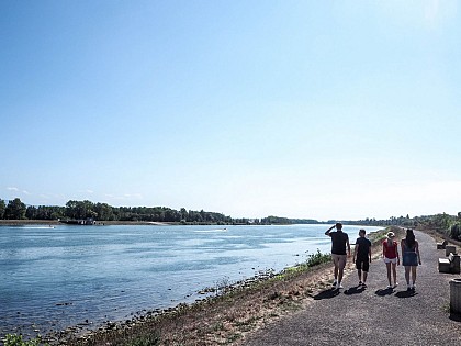 Circuit Alsace à vélo - Les bords du Rhin et la vallée de la Lauter