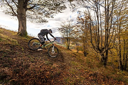 15 - Losko VTT