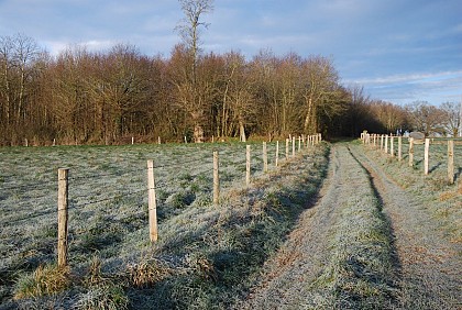 Sentier des oiseaux