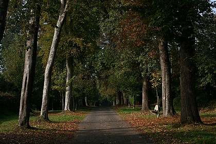 Chemin des Collines