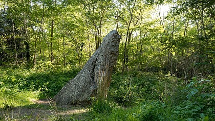 Le Menhir - Les Sables d'Olonne Quartier d'Olonne sur Mer