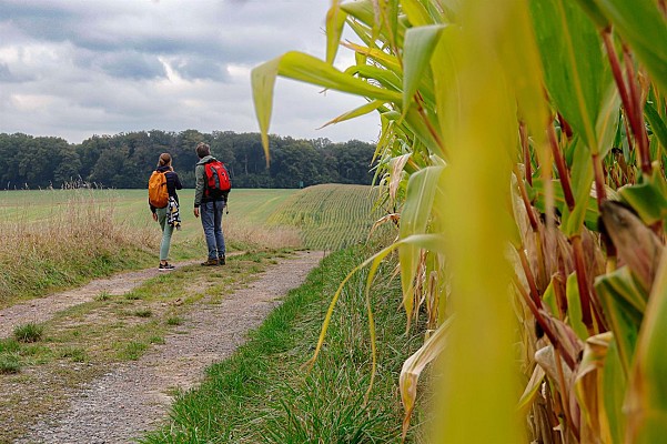 Circuit Chemin de vie & des crêtes