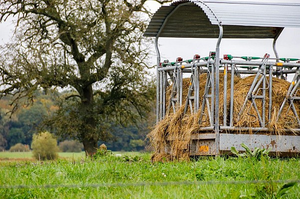 Circuit De la ferme aux paturages