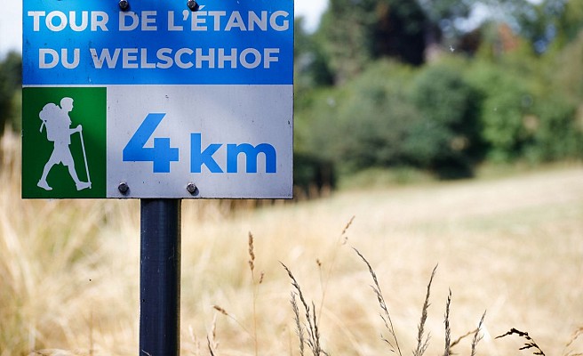 circuit Le tour de l'Étang du Welschhof