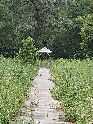 st symphorien 5
