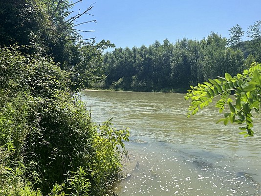 Vue sur l'Adour