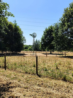 IMG_20250624_153714706_HDR