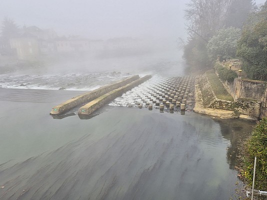 La passe à poissons