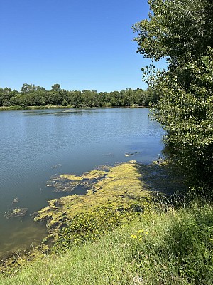 L'Adour