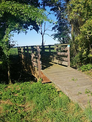 Passerelle