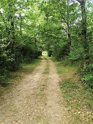 Sentier