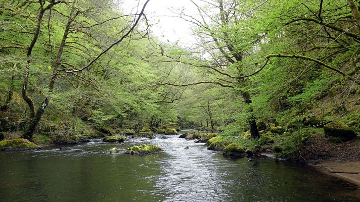Rivière