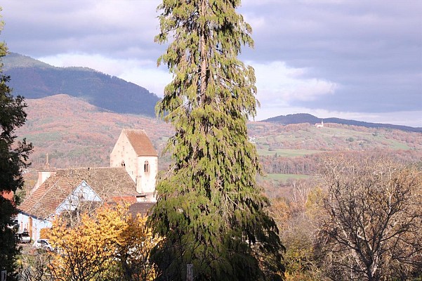 Les petits explorateurs à Dieffenbach-Au-Val