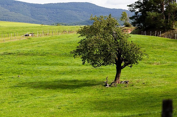Balade ludique à Breitenau