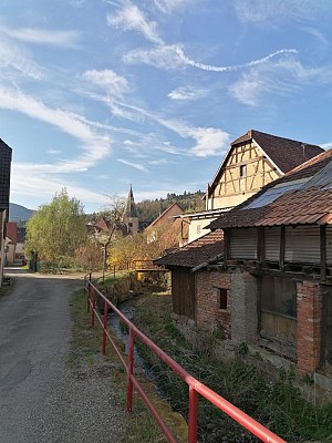 Les petits explorateurs à Saint-Martin