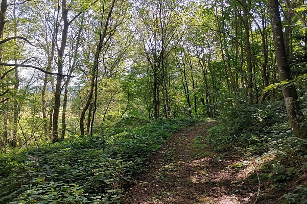 Sentier Rund'Um