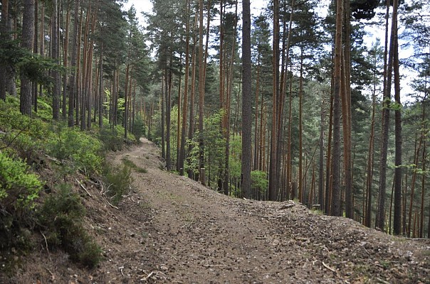 Randonnée - Le col de Fouchy