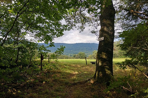 Chemin du Patrimoine "Ca coule de source"
