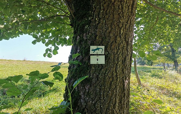 Chemin du Patrimoine "Ca coule de source"
