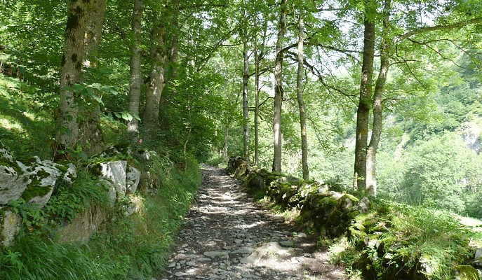 En chemin
