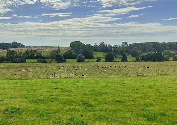 Vallée du Dun