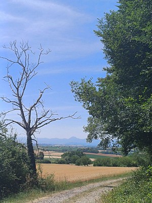 Sur les traces d'Adélaïde d'Orléans_Randan