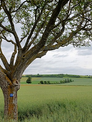 La Butte de Montpensier_Montpensier