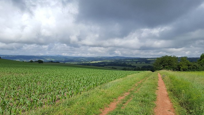 Panorama sur la randonnée Entre Limagne et Combrailles