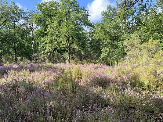 Giroussens - Boucle des Potiers