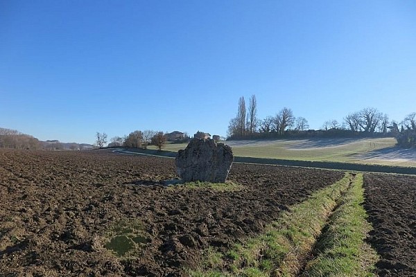 Menhir de Ste Carissime