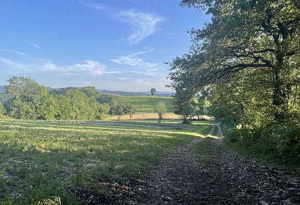 chemin Le Bez