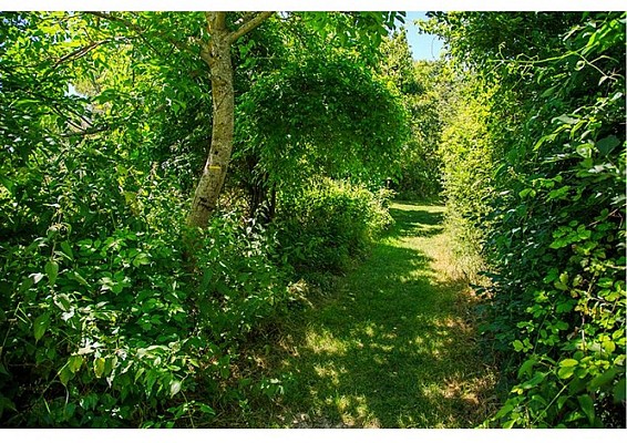 Le chemin du Pastel