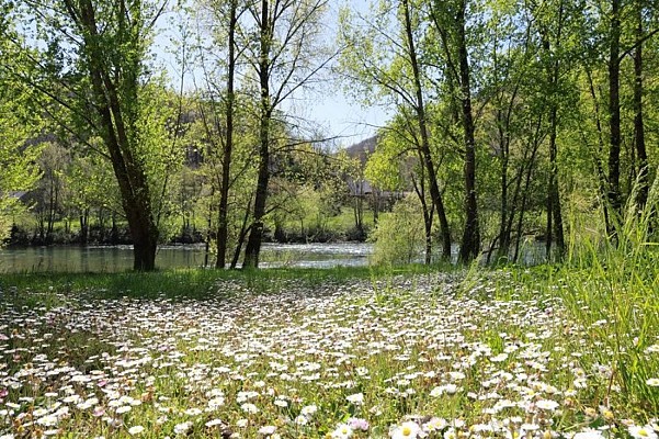 La vallée du Tarn au printemps
