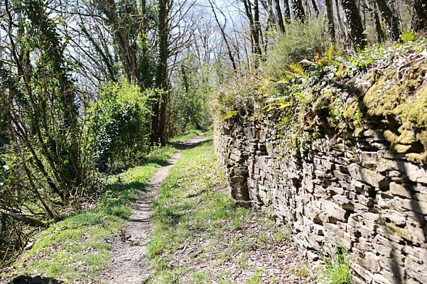 Le long du sentier