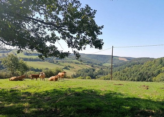 Vue sur les environs