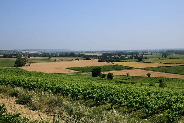 Rabastens - Sentier de la Plaine