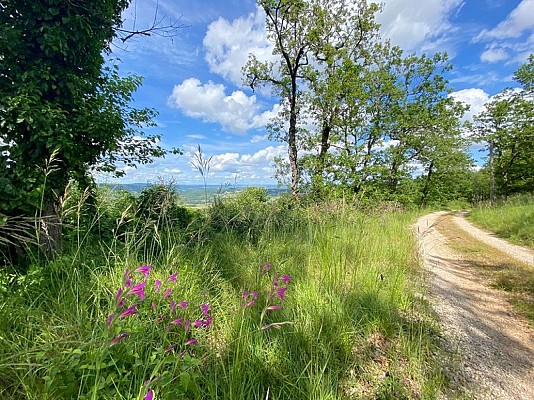 Sentier de Maraval