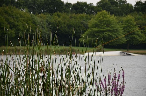 Etang de Buhel-Plessé_10