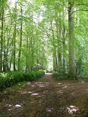 chemin rando vallée du Dun