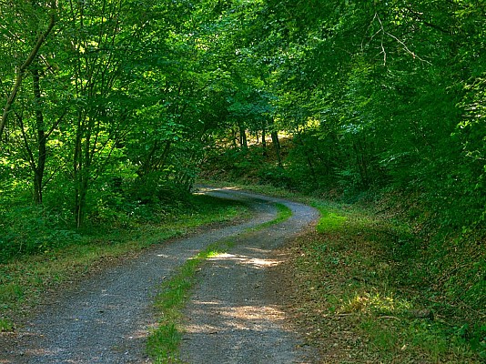 Chemin