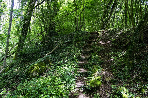 Réserve Naturelle