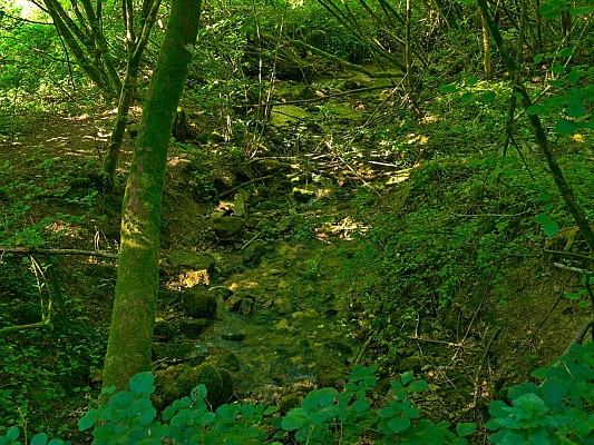 Huchsprung, sud de Manderen
avec sa source